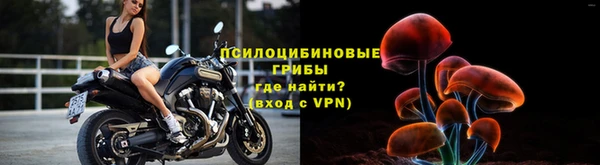 крисы Богданович